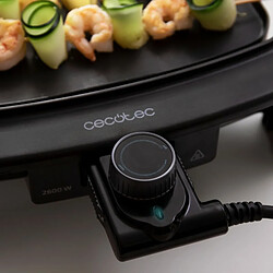 Acheter Cecotec Plancha électrique Tasty&Grill 3000 BlackWater MixGrill