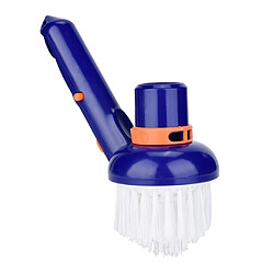 Brosse Piscine Angle Coin Taches Algues