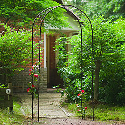 Nature Voûte de jardin Métal 100x37x230 cm Noir