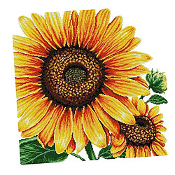 Kits De Point De Croix Estampé Tissu De Motif De Tournesol Pré-imprimé 49x48cm 14CT