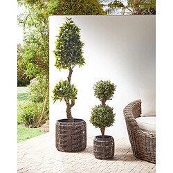 Beliani Lot de 2 pots de fleurs BRODIEA Polyrotin Marron clair