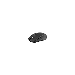 Acheter Souris Tnb GRADIENT Souris sans fil rechargeable DUAL CONNECT noir