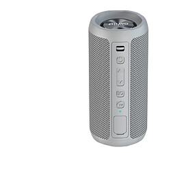 General Haut-parleur Bluetooth, haut-parleur avec un son puissant de 10 W et des basses plus profondes, 12 heures de lecture, étanche IPX6, couplage Bluetooth 5.0 TWS Double couplage, haut-parleur portable pour le camping à la plage (gris argenté)