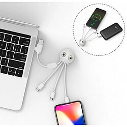 Avis XOOPAR Câble Jelly USB A+C/micro USB & USB C & Lightning 0,1m Blanc