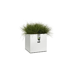 Avis Jardinière carrée Vivo Square Wheels Blanc - elho