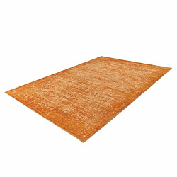 Acheter Paris Prix Tapis Vintage Tissé à la Main Piemont Sable 160 x 230 cm