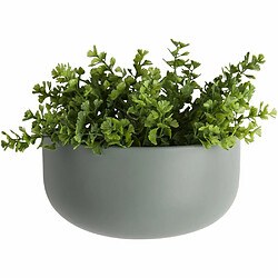 Pt Living Cache pot mural en céramique Oval wide Vert.