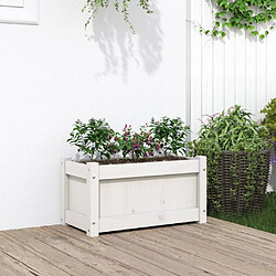 Maison Chic Jardinière,Bac à fleurs - pot de fleur blanc 60x31x31 cm bois de pin massif -GKD87607