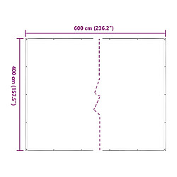 Acheter vidaXL Bâche transparente avec œillets 4x6 m polyéthylène