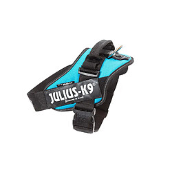 Julius-K9 IDC-Power Harnais pour Chien Bleu Aquamarine Taille 3