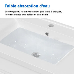 Aica Sanitaire 79,5(L)x45(W)x40(H)cm Meuble salle de bain blanc 2 portes avec une vasque à suspendre pour un gain d'espace optimal avec un maximum d'espace intérieure.