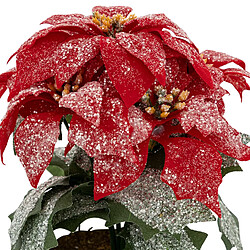 Atmosphera, Createur D'Interieur Poinsettia artificiel en pot - H. 22 cm