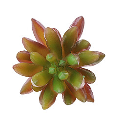 Acheter Plante Succulente Artificielle