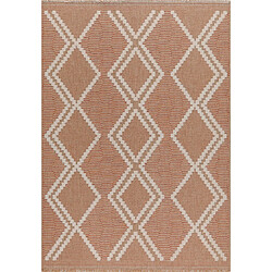 Jardindeco Tapis intérieur extérieur aspect jute terracotta Tijuana 9048 170 x 120 cm.