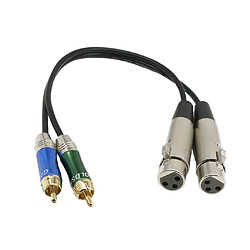 Câble d'Interconnexion 1ft Double XLR Femelle à 2-RCA Mâle Fiche