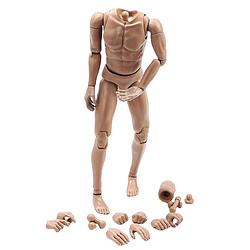 1: 6 Corps Nu Masculin à échelle Articulée 28 Articulations Mobiles Figurine Articulée De 12 "blé