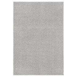 vidaXL Tapis à poils courts 160x230 cm Gris clair