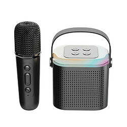 Yonis Microphone Bluetooth Portable Puissant Étanche