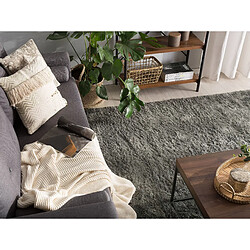 Avis Beliani Tapis 160 x 230 cm gris foncé EVREN