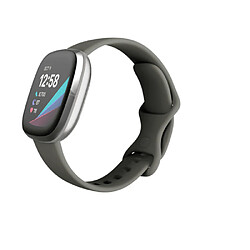 Fitbit FB512SRSG Montre Intelligente 1.58? Bluetooth Synthetic IOS Android Gris Argent