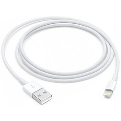 Apple MD818 Câble Lightning Original - 1m - Blanc (En Vrac)