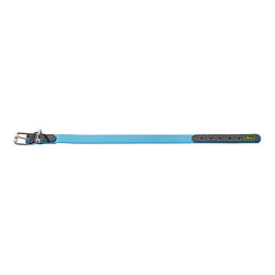 Collier pour Chien Hunter Convenience Turquoise (23-31 cm)