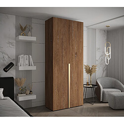 Abiks Meble Armoire Inova 1 À Portes Battantes 236,7/100/47 2 Portes (marron/d’oro)