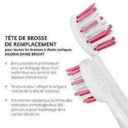 Avis Ailoria SHINE BRIGHT Têtes de brosse Extra Clean - lot de 12