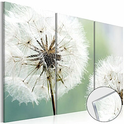 Paris Prix Tableau sur Verre Acrylique Fluffy Dandelions 40 x 60 cm