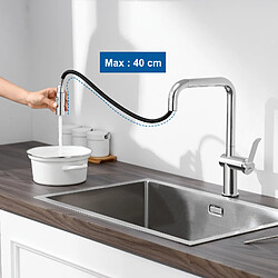 Avis AuraLum Max Évier Cuisine 1 Bac 55*45CM Évier Encastré et à Poser avec Distributeur de Savon+Robinet de cuisine rétractable à deux fonctio,EU Modèle