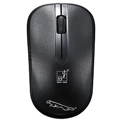 Yonis Souris Sans Fil Silencieuse 1600 DPI 10m