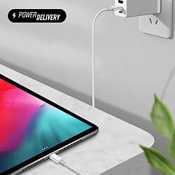 Câble USB-C Macbook / iPad Pro Power Delivery 100W 1m Original Apple Blanc pas cher