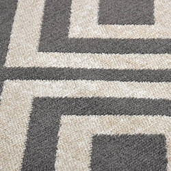 Acheter vidaXL Tapis à tissage plat d'extérieur 80x150 cm Noir et beige clair