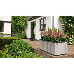 Keter Jardinière grande Sequoia Gris PP 240933