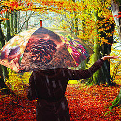 Esschert Design Grand parapluie bois et métal toile polyester Automne.