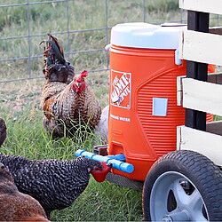 Acheter 10 Pièces Caille Pigeon Buveurs Arrosage Tasses Mangeoire Bols Pour Cage Arrière-cour Rouge