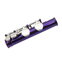 Avis Tube de cupronickel durable à 16 trous c flûte à clé avec touche split e violet