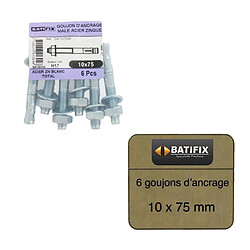 Pack de 6 goujons d'ancrage H17 BATIFIX diamètre 10 x 75mm