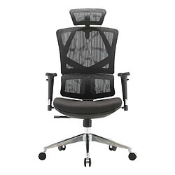 Acheter Decoshop26 Fauteuil de bureau support lombaire ergonomique dossier haut accoudoirs en maille noir 04_0006220