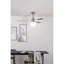 Faro Barcelona Ventilateur de plafond gris à grande boule à DEL 20W 2700K, 6 vitesses