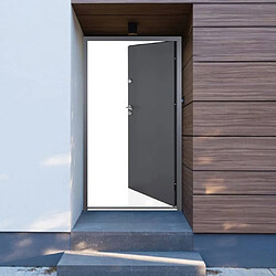 vidaXL Porte d'entrée anthracite 100x200 cm aluminium