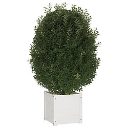 Avis vidaXL Jardinières d'extérieur 2 pcs Blanc 40x40x40 cm Bois de pin