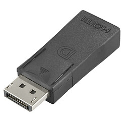 Wewoo Noir Adaptateur vidéo femelle DisplayPort mâle vers HDMI