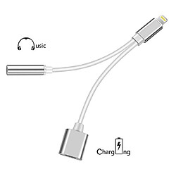 Cable Double Adaptateur port Lightning avec prise Jack 3.5 mm pour téléphone smartphone Couleur Argent -Visiodirect -