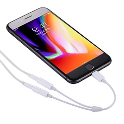 Acheter Wewoo Adaptateur pour iPhone, iPad, Samsung, Huawei, Xiaomi, HTC 16cm 2 en 1 double 3.5mm femelle à Lightning audio mâle,