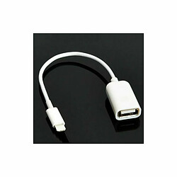 Acheter Pour Apple Interface Mâle Vers Usb Femelle Câble Adaptateur Otg Pour Apple Iphone 5 5S 6 6S Plus 7