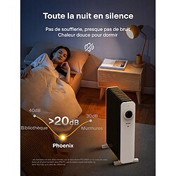 Acheter PELONIS Radiateur à huile 2500W, Radiateur à huile à économie d'énergie 13 ailettes Blanc