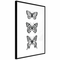 Paris Prix Affiche Murale Encadrée Butterfly Collection III 20 x 30 cm Noir