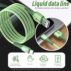 Acheter Cables X2 USB-Type C Charge Rapide 3A Silicone Vert 2m Pour Smartphone Xiaomi / Oppo / Vivo / Realme / Pixel Little Boutik®