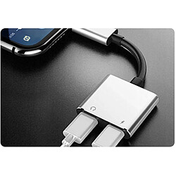 GUPBOO Adaptateur Lightning pour iPhone,JL1070